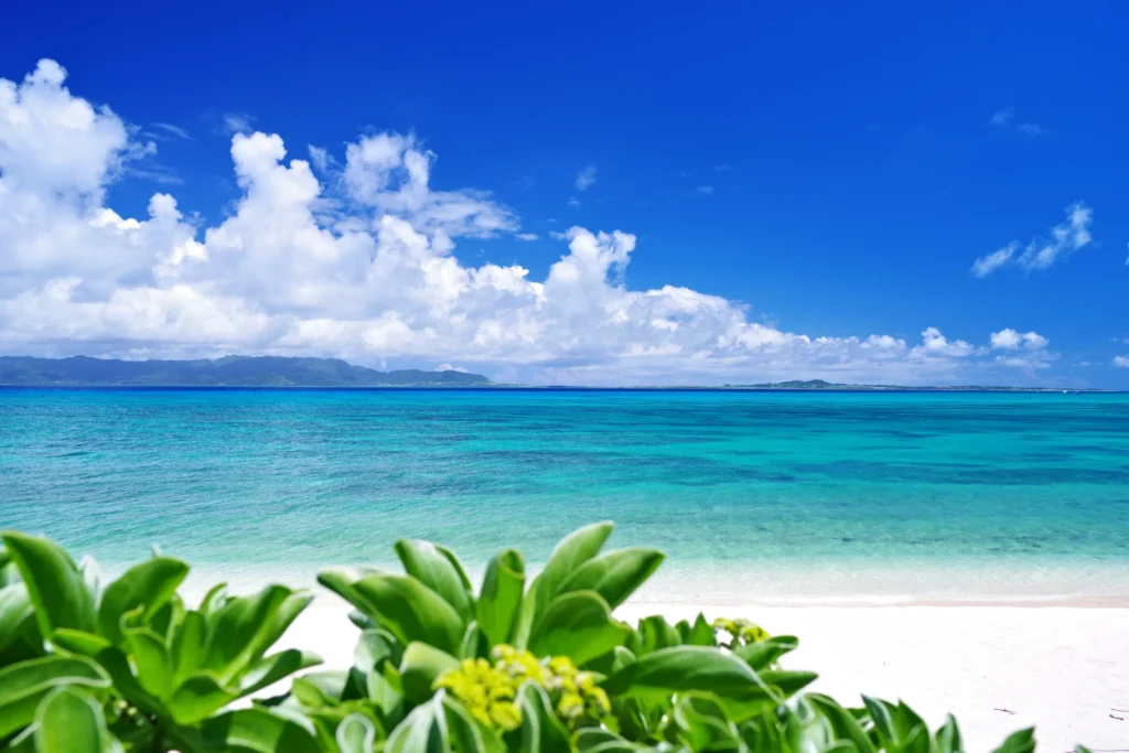 沖縄の海
