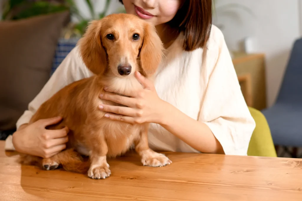 子犬をかわいがる女性