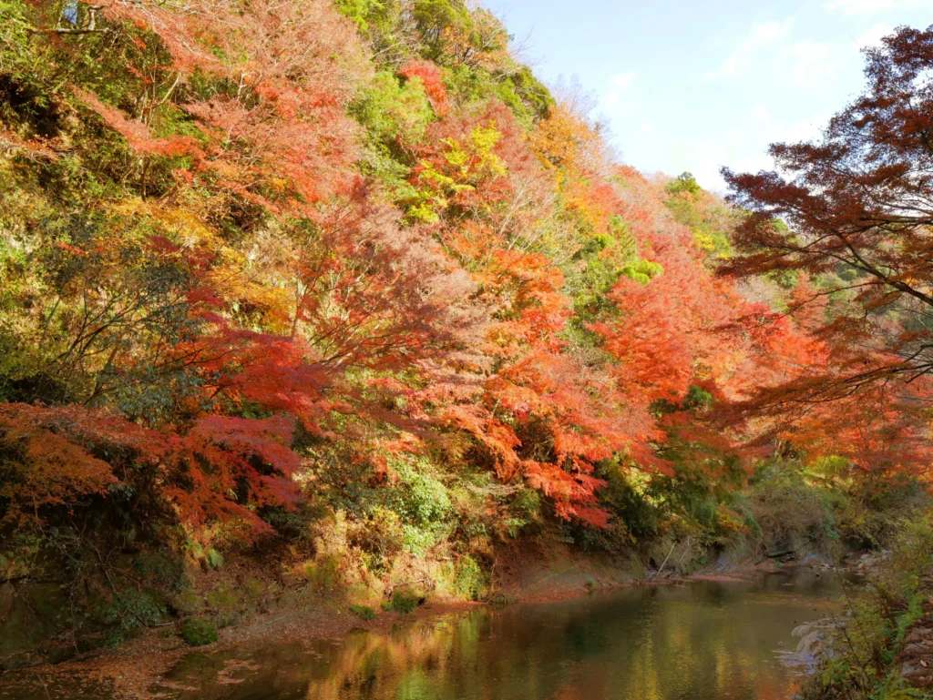 紅葉の養老渓谷・中瀬遊歩道