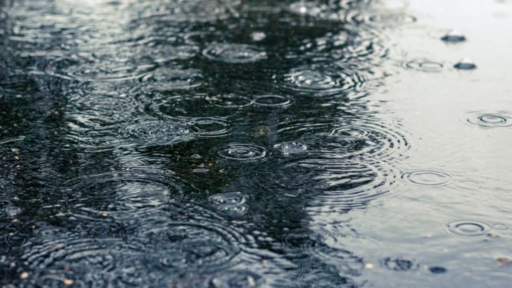 雨が降っている