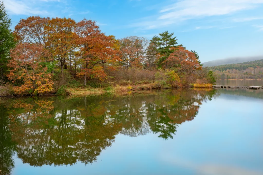 群馬県のつま恋村