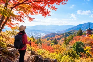 紅葉の山頂から望む秋の谷景色