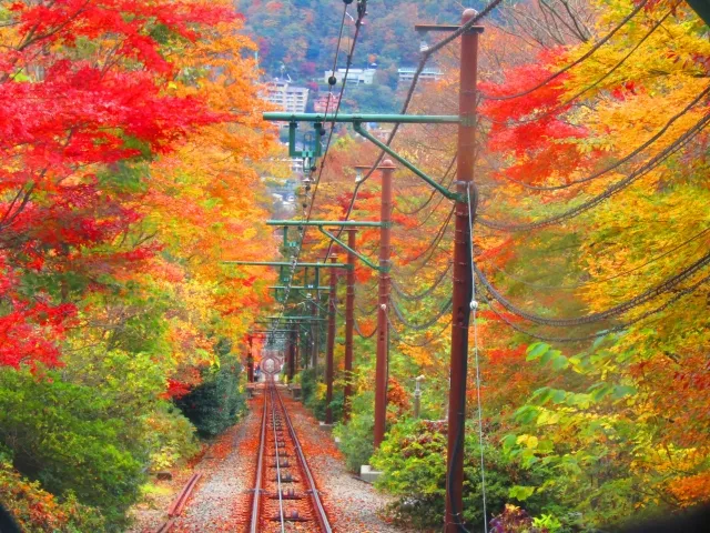 秋の線路の様子